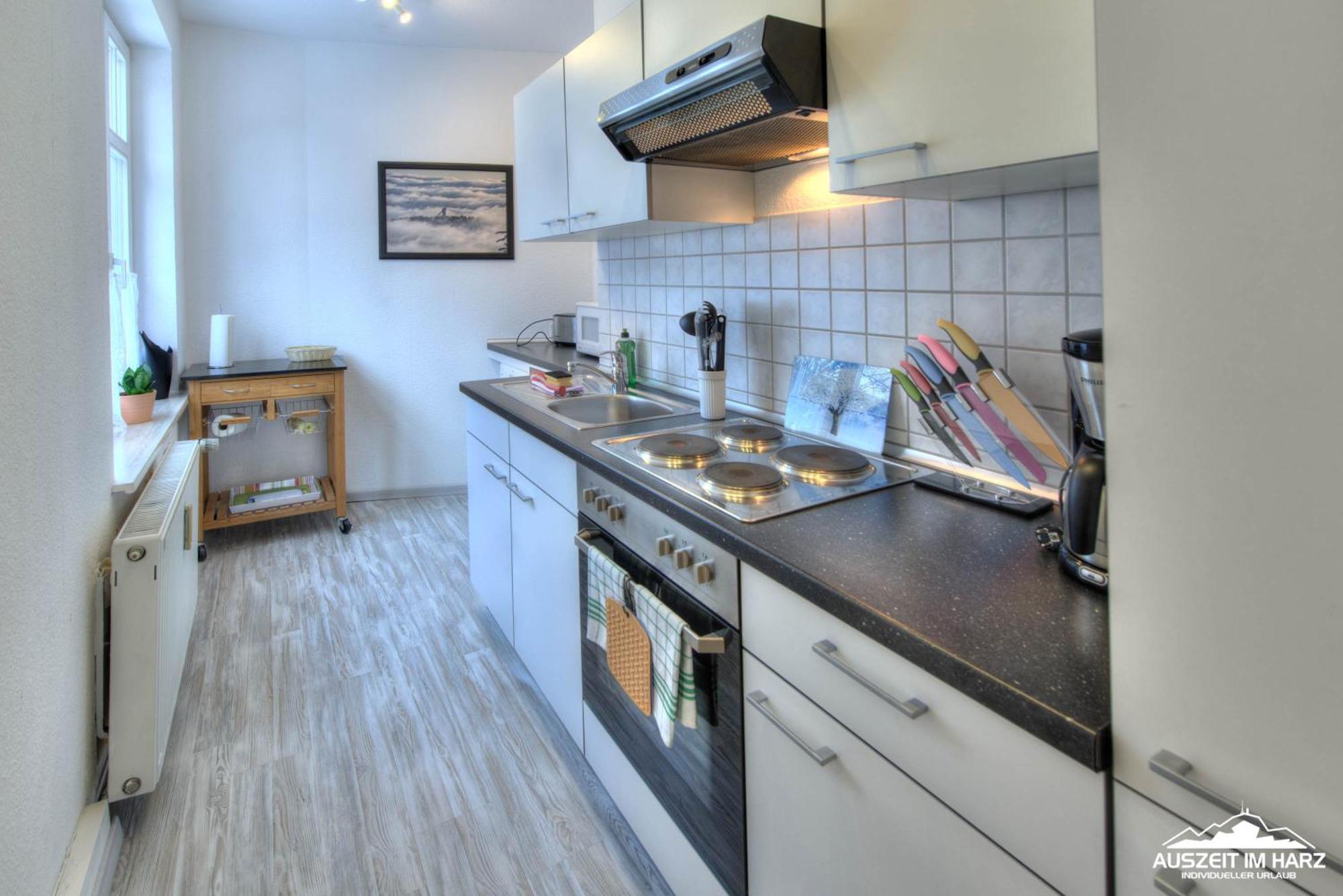 Auszeit Im Harz Haus 1 Wohnung Feuerstein Schierke Exteriör bild